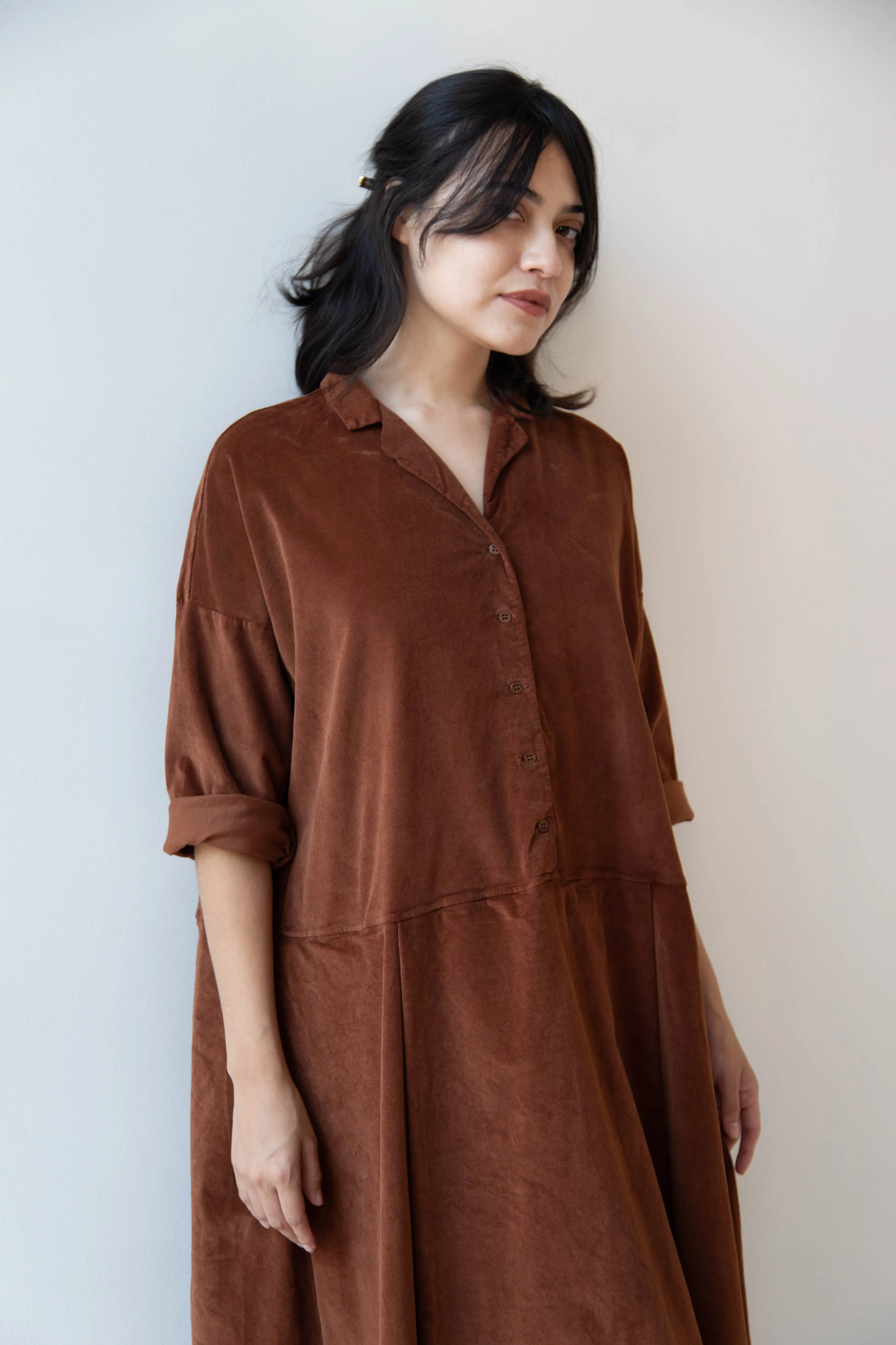 Album di Famiglia | Velvet Tailored Collar Dress in Rust