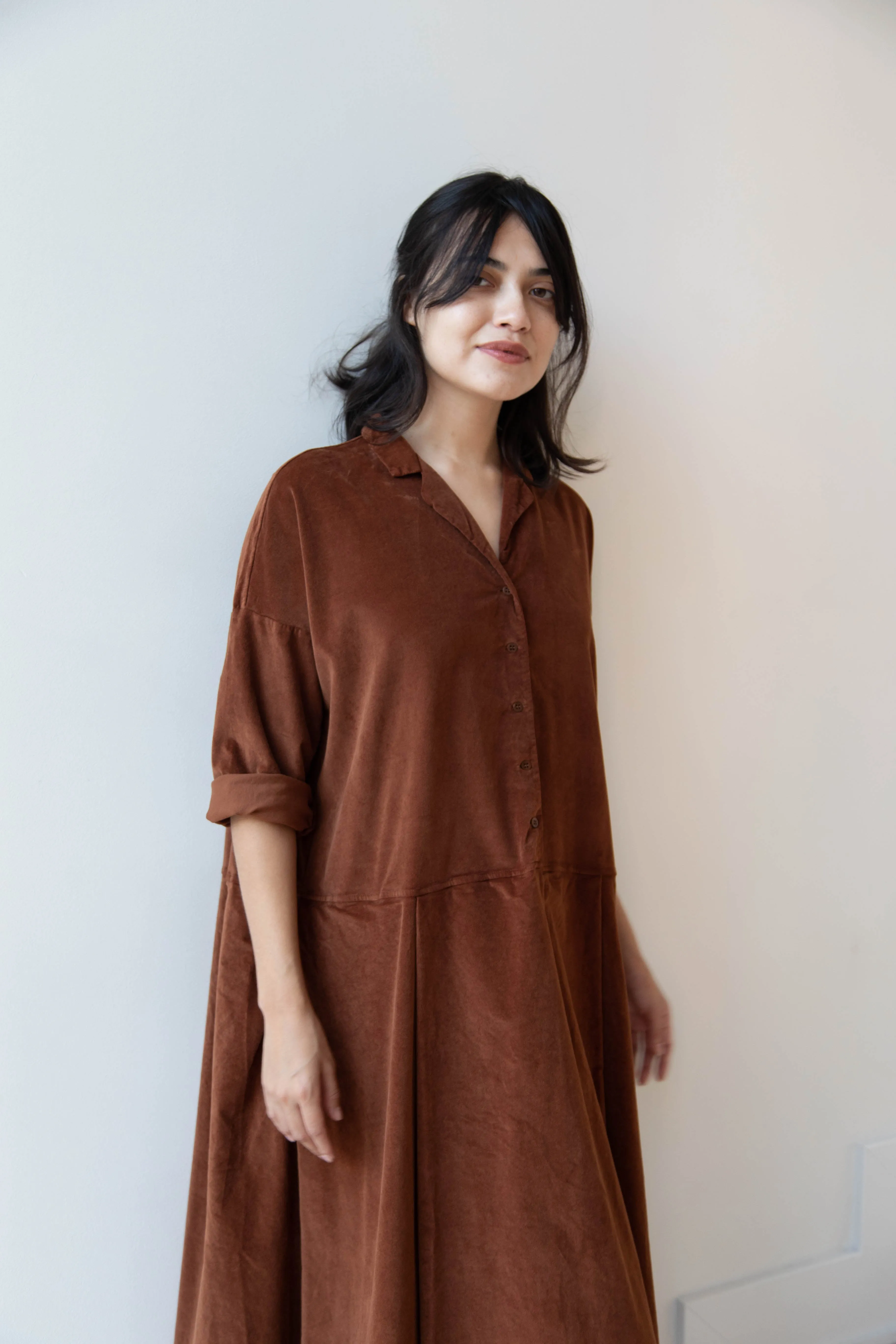 Album di Famiglia | Velvet Tailored Collar Dress in Rust