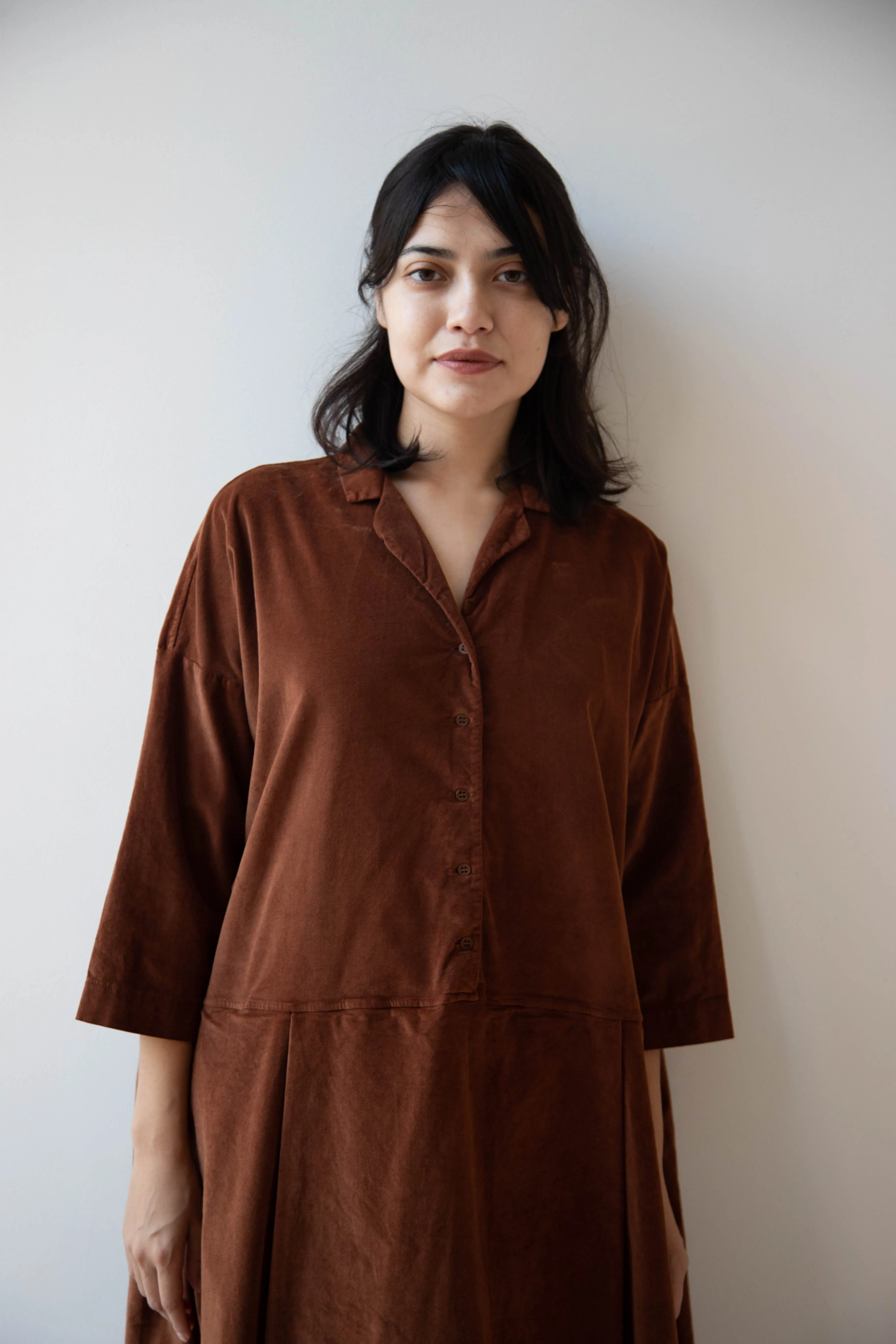 Album di Famiglia | Velvet Tailored Collar Dress in Rust