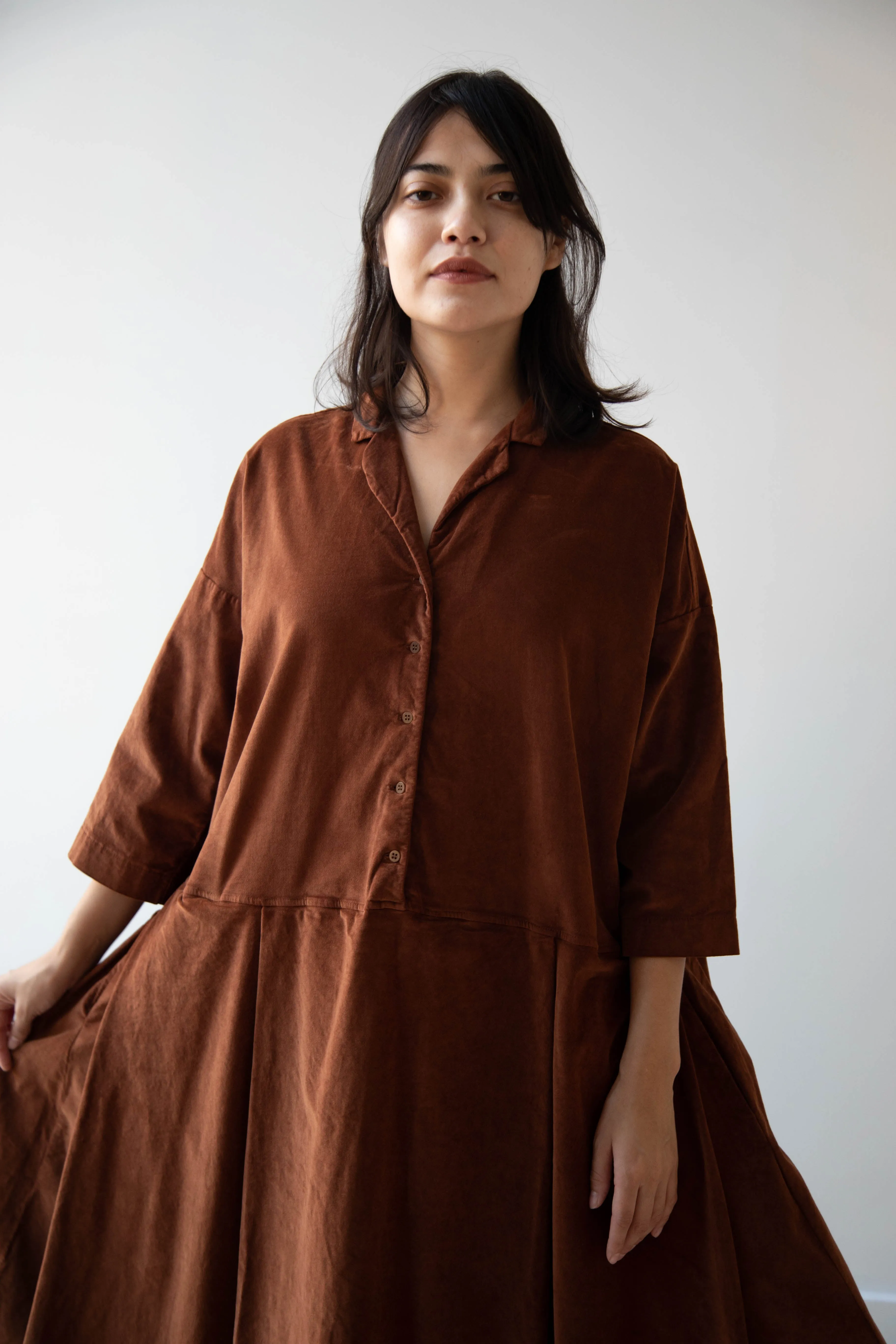 Album di Famiglia | Velvet Tailored Collar Dress in Rust