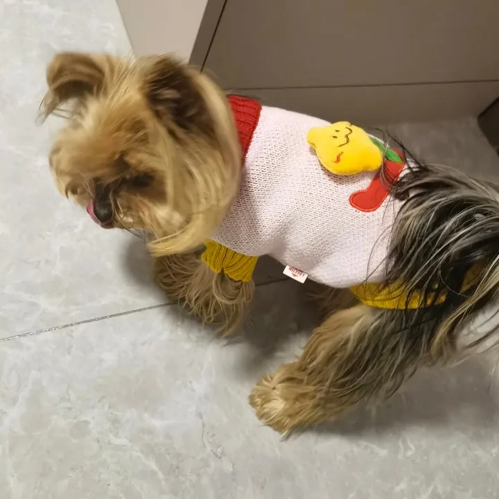 Cute Plush Cartoon Embroidered Pet Knitted Sweaters