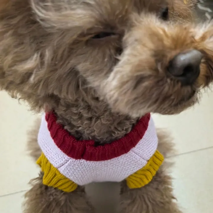 Cute Plush Cartoon Embroidered Pet Knitted Sweaters