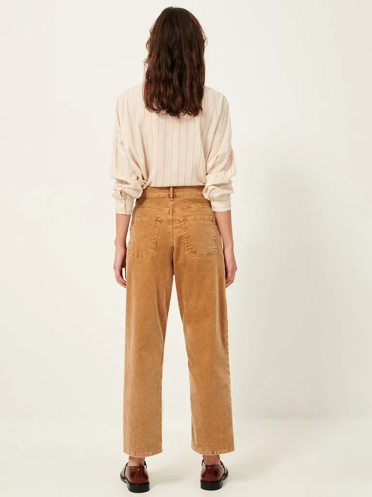 Sessun Velvet Cruise Trousers in Nomad